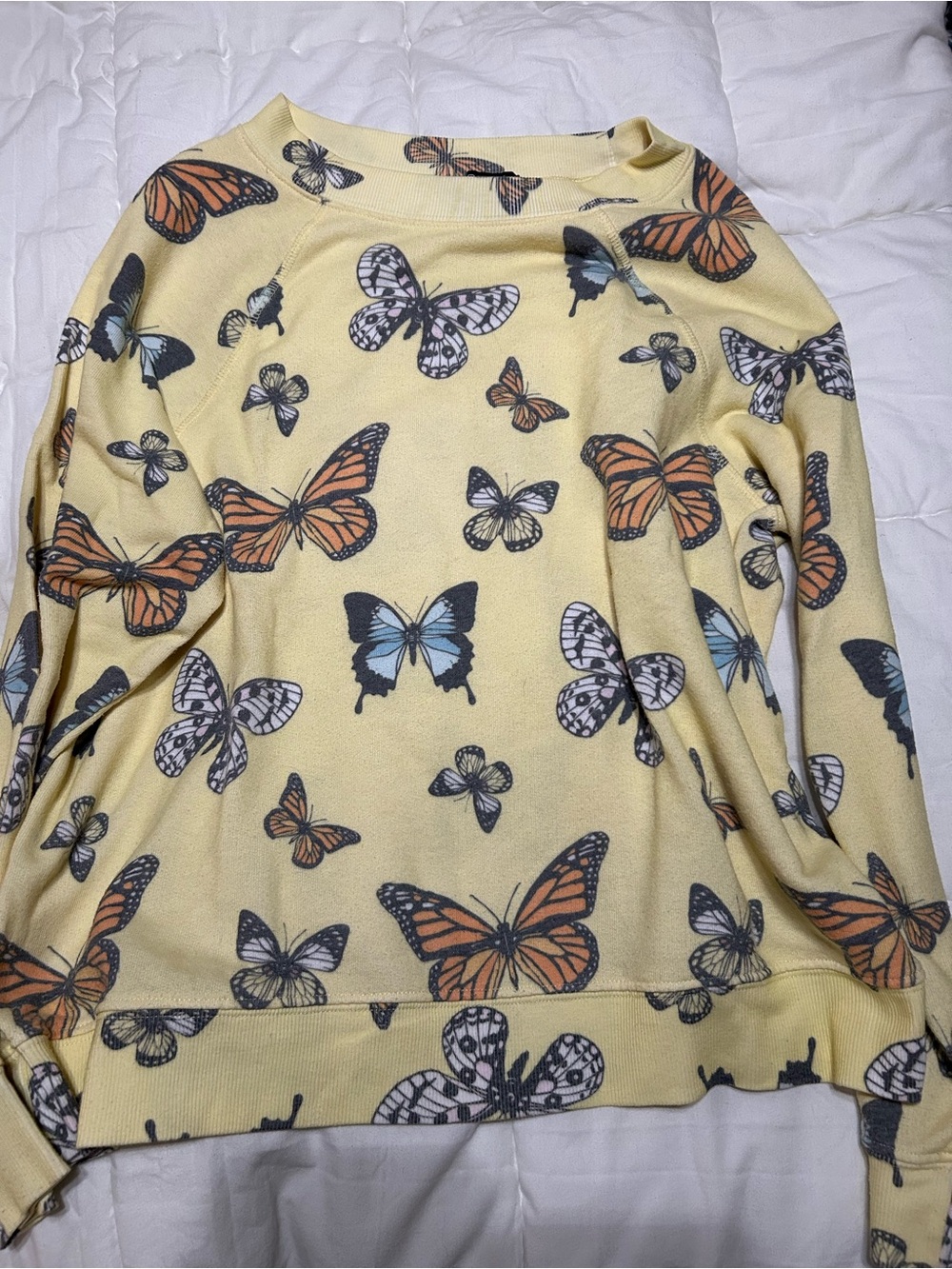 Wildfox sweater